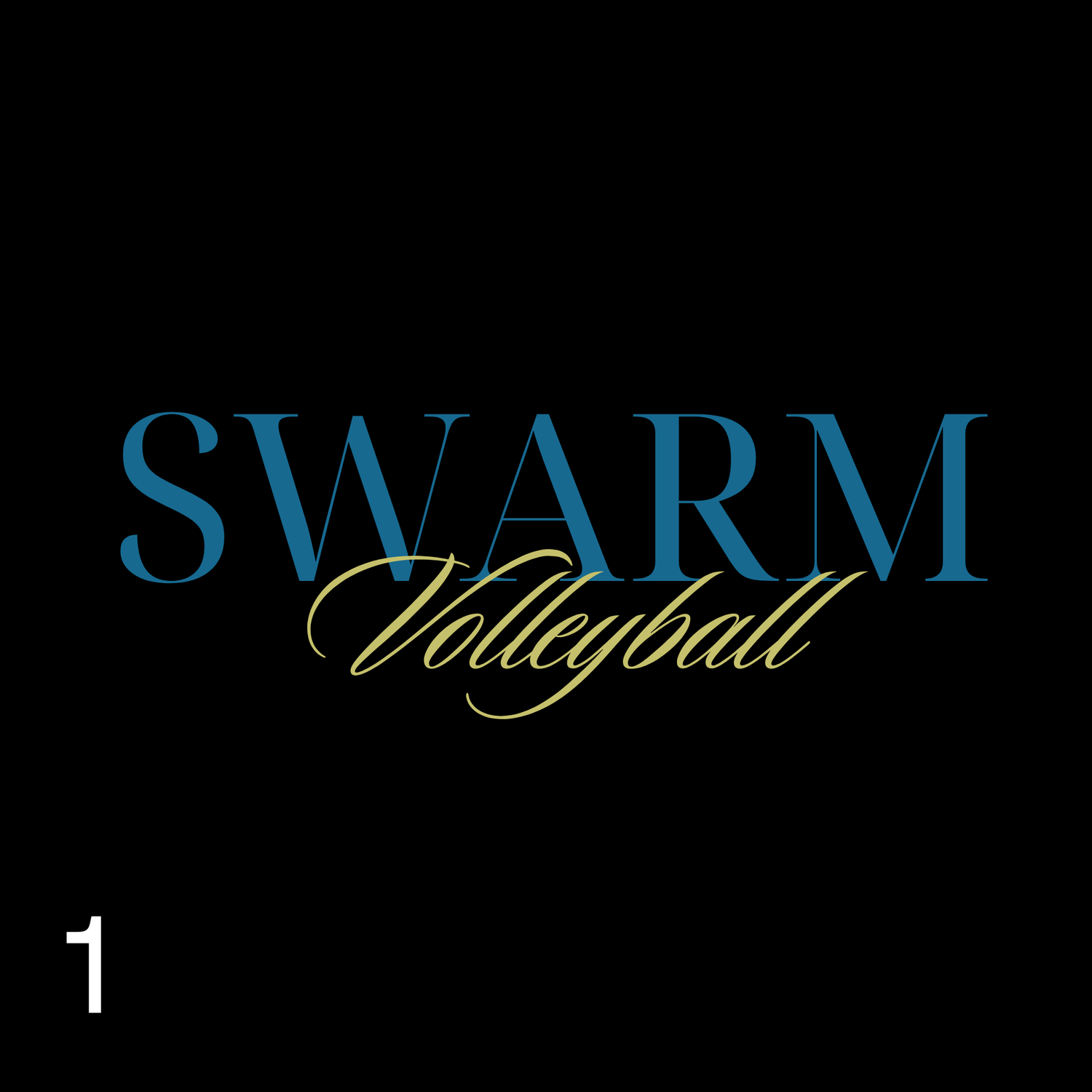 SWARM Volleyball