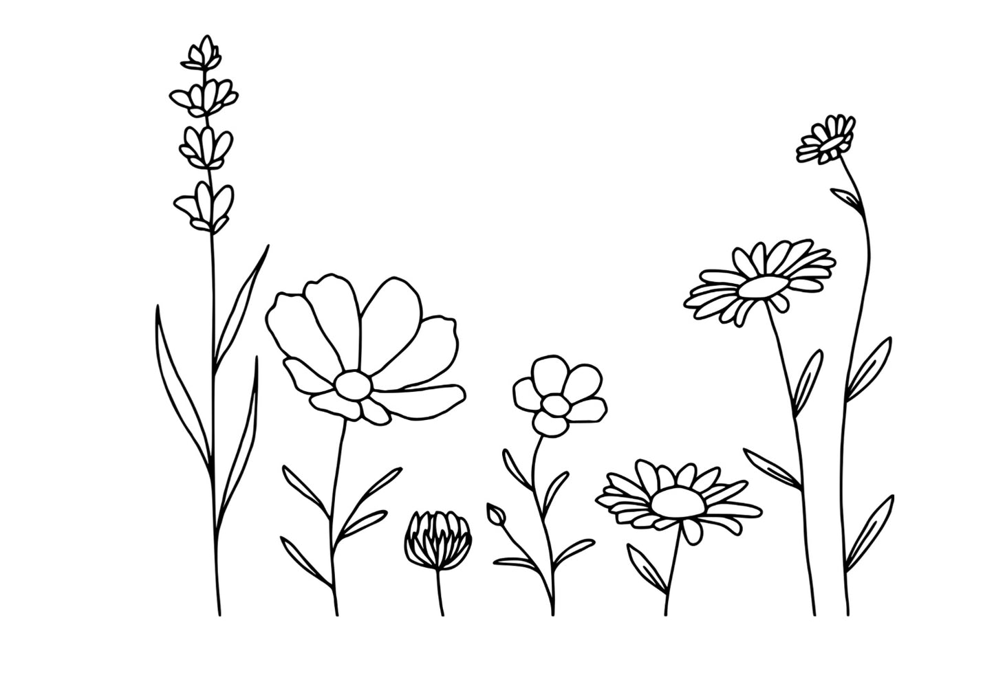 Custom Cursive Writing Board